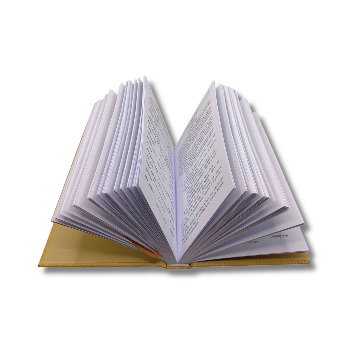 Sidur Para La Mujer Hebreo Español Fonética Chico