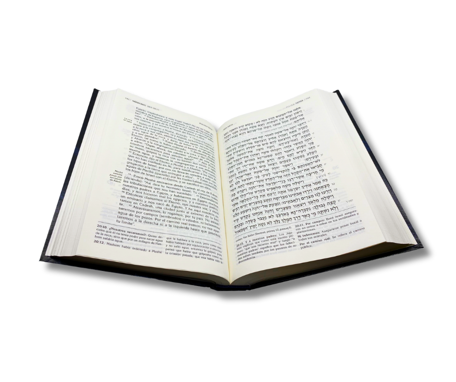 La Tora Con Haftarot - Pentateuco Hebreo-español