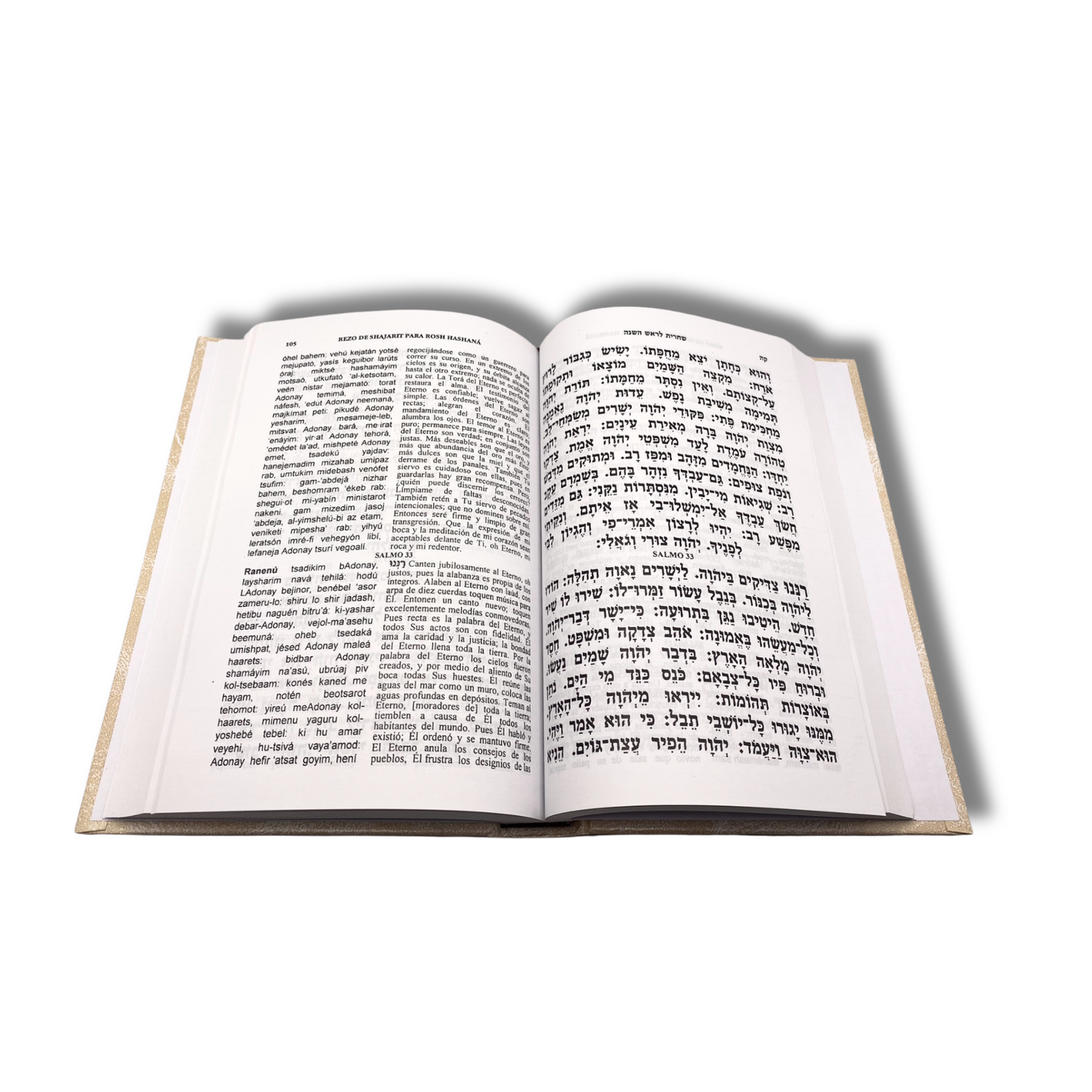 Libro De Rezos Majzor Rosh Ha Shana Hebreo Español Fonética