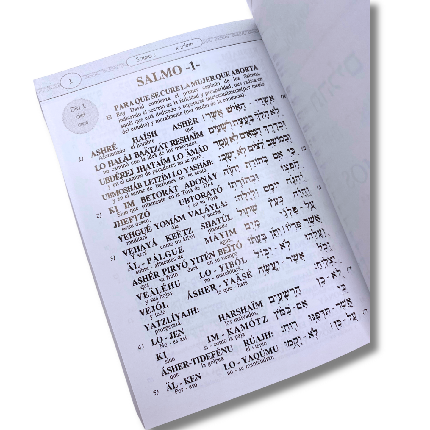 Libro De Salmos De Bolsillo Edición Hebreo Español Fonetica